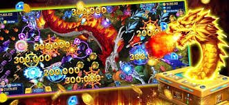 dbbet login